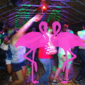 Noche Latina 2011-Playa El Flamingo (135)