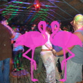 Noche Latina 2011-Playa El Flamingo (141)