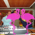 Noche Latina 2011-Playa El Flamingo (143)