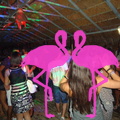 Noche Latina 2011-Playa El Flamingo (146).JPG