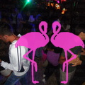 Noche Latina 2011-Playa El Flamingo (156)