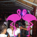Noche Latina 2011-Playa El Flamingo (157)