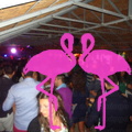 Noche Latina 2011-Playa El Flamingo (158).JPG