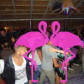 Noche Latina 2011-Playa El Flamingo (159)