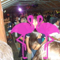 Noche Latina 2011-Playa El Flamingo (162)