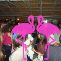 Noche Latina 2011-Playa El Flamingo (164)