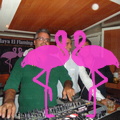 Noche Latina 2011-Playa El Flamingo (167).JPG