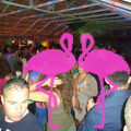 Noche Latina 2011-Playa El Flamingo (166)