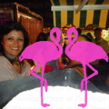 Noche Latina 2011-Playa El Flamingo (172)