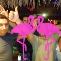 Noche Latina 2011-Playa El Flamingo (171)