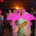 Noche Latina 2011-Playa El Flamingo (175)