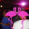Noche Latina 2011-Playa El Flamingo (178)