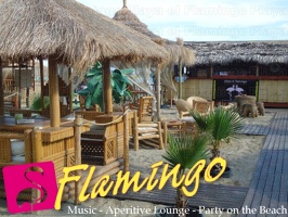 Playa el Flamingo-area Privé-Day- (2)