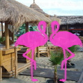 Playa el Flamingo-area Privé-Day- (2)