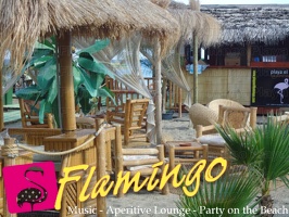 Playa el Flamingo-area Privé-Day- (1)