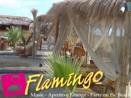 Playa el Flamingo-area Privé-Day- (5)