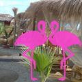 Playa el Flamingo-area Privé-Day- (5)