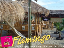 Playa el Flamingo-area Privé-Day- (4)