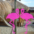 Playa el Flamingo-area Privé-Day- (4)