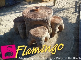 Playa el Flamingo-area Privé-Day- (9)