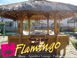 Playa el Flamingo-area Privé-Day- (12)
