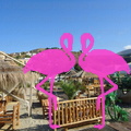Playa el Flamingo-area Privé-Day- (8)