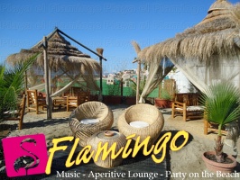 Playa el Flamingo-area Privé-Day- (11)