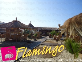 Playa el Flamingo-area Privé-Day- (15)