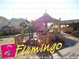 Playa el Flamingo-area Privé-Day- (16)