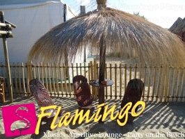 Playa el Flamingo-area Privé-Day- (21)