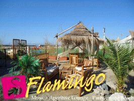 Playa el Flamingo-area Privé-Day- (17)