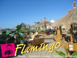 Playa el Flamingo-area Privé-Day- (25)