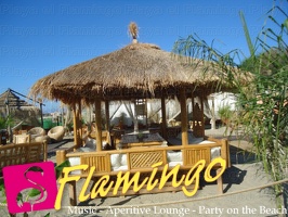 Playa el Flamingo-area Privé-Day- (24)