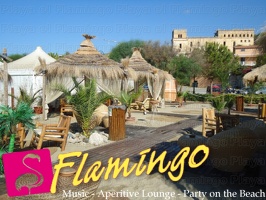Playa el Flamingo-area Privé-Day- (28)
