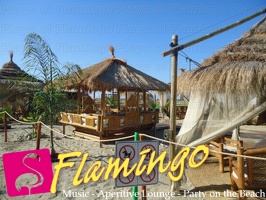 Playa el Flamingo-area Privé-Day- (23)