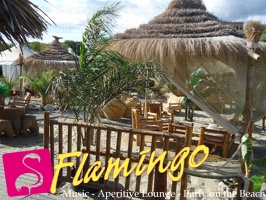 Playa el Flamingo-area Privé-Day- (29)
