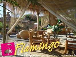 Playa el Flamingo-area Privé-Day- (33)