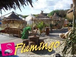 Playa el Flamingo-area Privé-Day- (31)