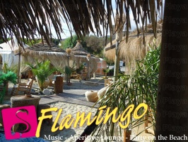 Playa el Flamingo-area Privé-Day- (30)