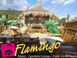 Playa el Flamingo-area Privé-Day- (37)