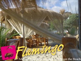 Playa el Flamingo-area Privé-Day- (40)
