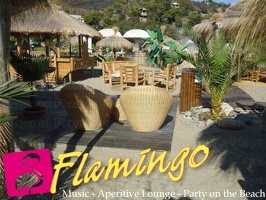 Playa el Flamingo-area Privé-Day- (42)