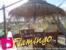 Playa el Flamingo-area Privé-Day- (35)