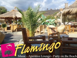 Playa el Flamingo-area Privé-Day- (38)