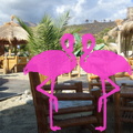 Playa el Flamingo-area Privé-Day- (38).JPG