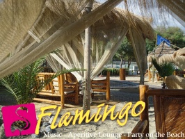 Playa el Flamingo-area Privé-Day- (41)