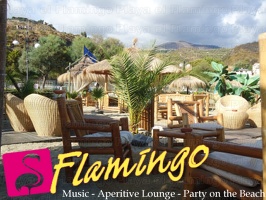 Playa el Flamingo-area Privé-Day- (36)