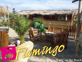 Playa el Flamingo-area Privé-Day- (44)