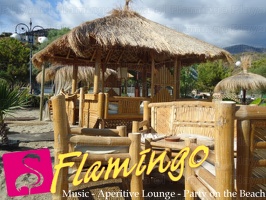 Playa el Flamingo-area Privé-Day- (45)
