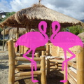 Playa el Flamingo-area Privé-Day- (45)